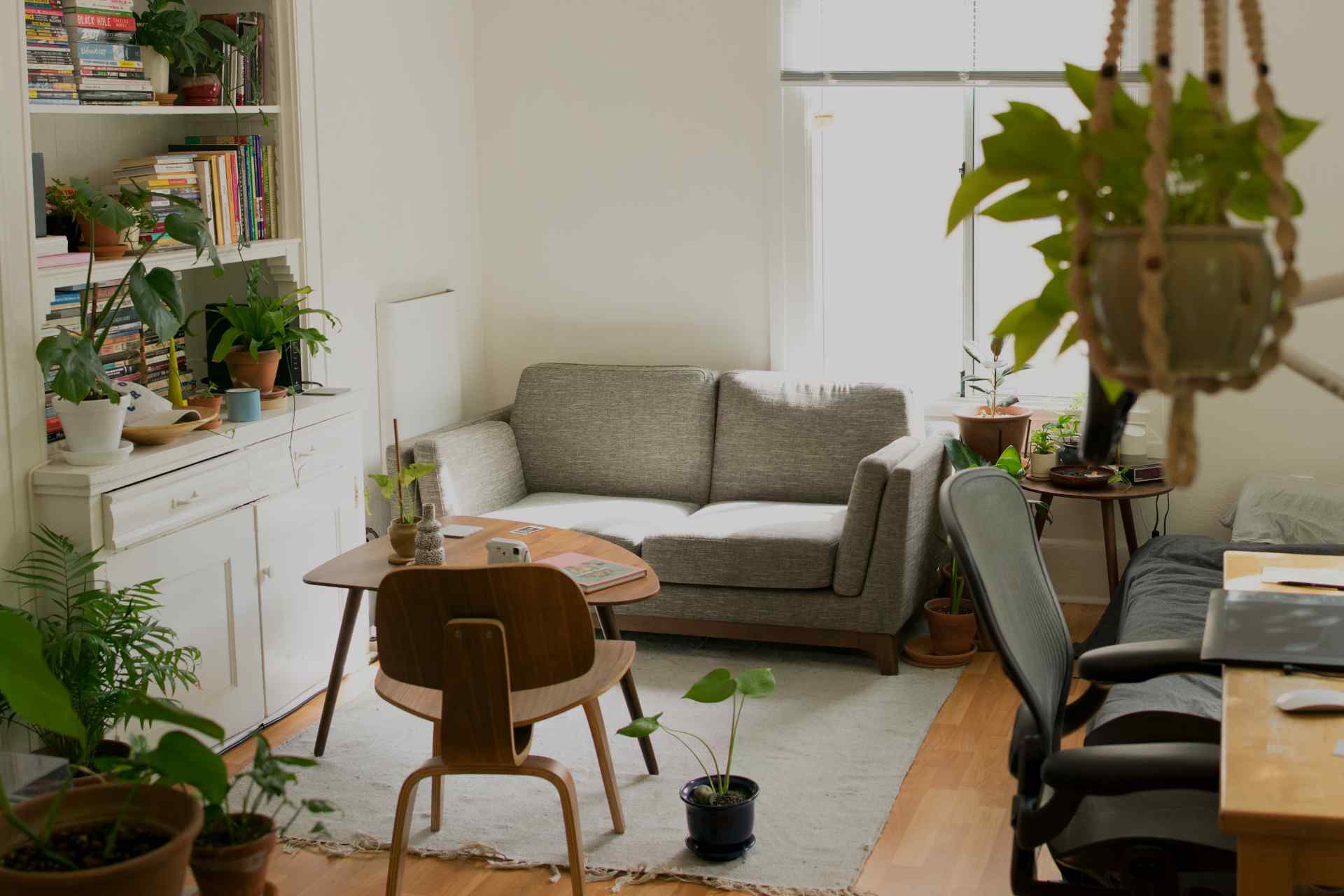 Conseil aux particulier en aménagement et décoration